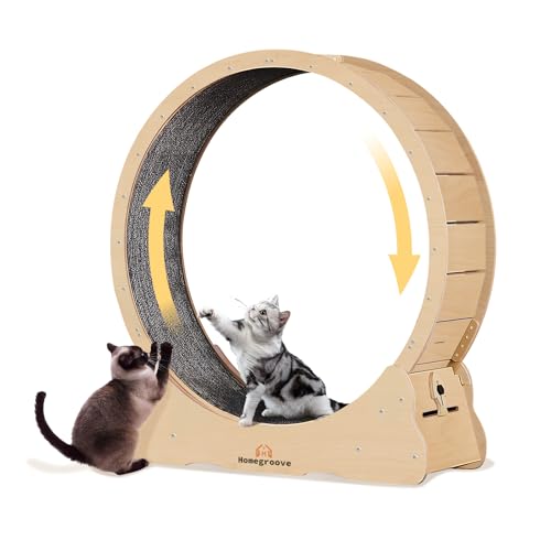 Homegroove Katzen-Laufrad, 90 cm, Katzenräder für Indoor-Katzen, vielseitiges Laufrad mit abnehmbarem Teppich für Gewichtsverlust und Gesundheit, natürliche Holzfarbe (M) von homegroove