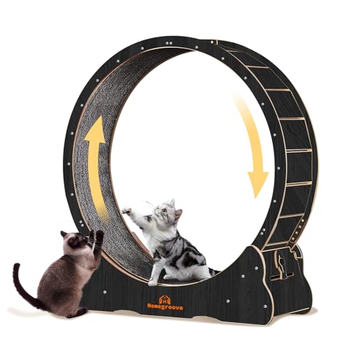 Homegroove Katzenrad, Katzen-Laufrad für Indoor-Katzen, 114,3 cm, großes Laufrad mit Teppichlaufbahn, Laufband für längere Lebensdauer, Katzenrad für Fitness-Gewicht, Schwarz (XL) von homegroove