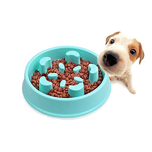 Futternapf Katze Antischlingnapf Hunde Große Hundenapf Anti Gulp Hundenapf Puzzleschalen für Hunde Hund Anti Choke Bowl Ungiftige Puzzle Bowl Blue-a von hongyupu