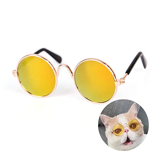 hongyupu Brille Hund Hundebrille Für Kleine Hunde Augenschutzbrille UV-Brille für Hund Faltbare Hundesonnenbrille Welpen Sonnenbrille Hundebrille Augenschutz Gold von hongyupu