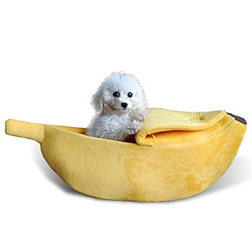 hongyupu Hundebett Katzenhöhle Haustierhöhle Flauschiges Hundebett Kleines Katzenbett Haustier-Innenhaus Plüsch Hundebett Hundekomfortbett Hund Schlafsofa Yellow,40cm von hongyupu