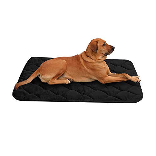 hongyupu Hundedecken Hundedecken Waschbar Hundebettwäsche Hundekiste Mat Weiches Tierarztbett Katzenbetten Haustier-Auflage Faltbares Haustierbett Black,l von hongyupu