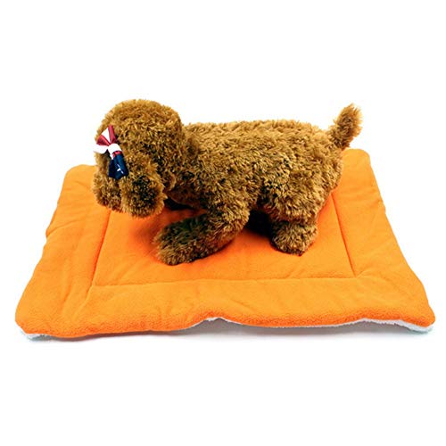 hongyupu Hundedecken Waschbar Hundedecke Hundekiste Bett Kätzchenbett Flauschige Decke Dicke Welpenbett Hundebettwäsche Katzendecke Haustierdecke orange,s von hongyupu