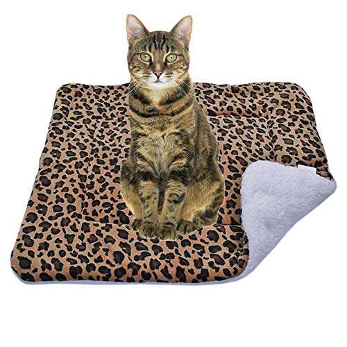 hongyupu Hundedecken Waschbar Hundedecken Hundekiste Bett Flauschige Katze Mat Flauschige Decke Hundedecken waschbar Haustierdecke Welpenbett Hundebettwäsche 2,XL von hongyupu