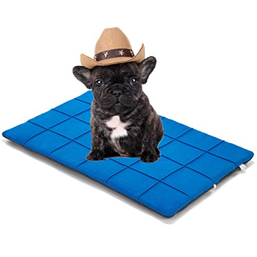 hongyupu Hundedecken Waschbar Katzendecke Kätzchenbett Haustier-Auflage Hundebettwäsche Weiche Katze Mat Hundebett Zubehör Haustierbett Hundekomfortbett Blue,xs von hongyupu