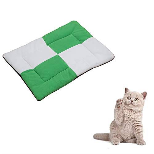 hongyupu Hundedecken Waschbar Kuscheldecke Hund Flauschige Katze Mat Katzendecke Weiche Decke Hundebett klein Welpenbett Kätzchenbett Katzenbetten Green,l von hongyupu