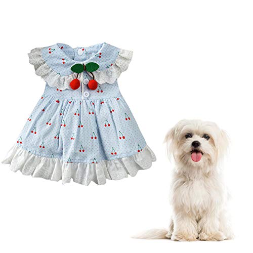 hongyupu Katzenkleid hundekleid Prinzessin Hundekleid Brautkleider für Hund Nette Hundekleider Hundekleidung Bling Hundekleid Welpenkleidung Blue,XL von hongyupu