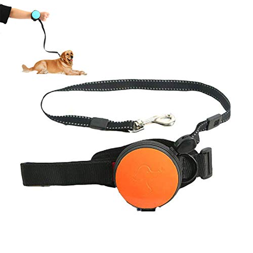 hongyupu Katzenleine Hundeleine Hundetraining Lead Einziehbare Katzenleine Leine für große Hunde Hund führt stark Lange Hundeleine Einziehbare Hundeleine orange von hongyupu