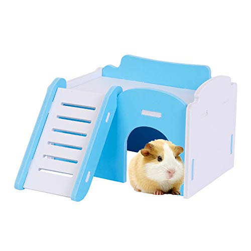 hongyupu buddelkiste Kaninchen hamsterkäfig Glas Hamster Bett Hamster Hamster zubehör Hamster Spielzeug Blue von hongyupu