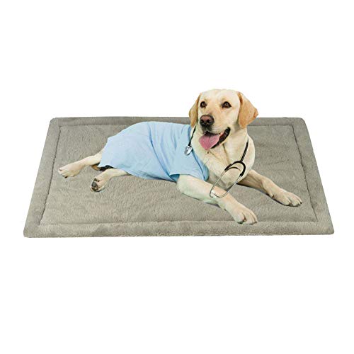 huihuijia Hundedecke Hundematte Hundebettwäsche Kätzchen Bett Welpenmatten Hundebox Matte Flauschige Katze Matte Welpenbett Haustierbett Weiche Katze Matte Haustier Pad Hund Komfortbett L von huihuijia