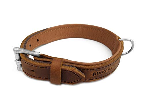 Lederhalsband für Hunde, Fettleder Hundehalsband gepolstert, Echtleder, Cognac Chrom Gr. 65 von Hund natürlich