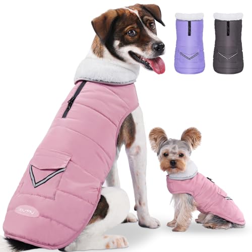 iBuddy Hundejacke, Hunde-Wintermantel mit Fleece-Weste, Hundekleidung, wasserdicht, warm, winddicht, reflektierend, verstellbar, für große Hunde, Mädchen, Jungen von iBuddy