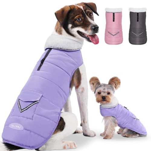 iBuddy Hunde-Wintermantel mit Fleece-Weste, wasserdicht, warm, winddicht, reflektierend, verstellbar, für große Hunde, Mädchen, Jungen von iBuddy