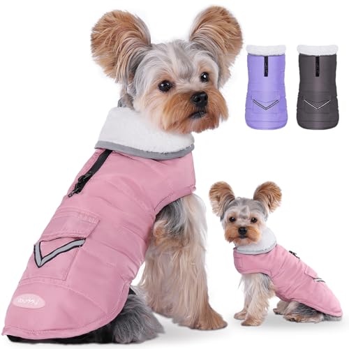 iBuddy Hunde-Wintermantel mit Fleece-Weste, wasserdicht, warm, winddicht, reflektierend, verstellbar, kalter Wintermantel für Hunde, Mädchen und Jungen von iBuddy