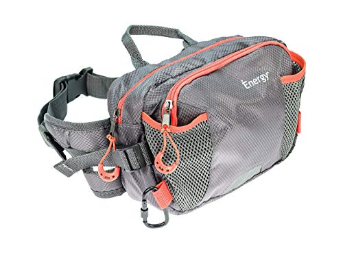 iEnergy PAT Gürteltasche für Hundebesitzer - wetterfeste Hüfttasche - Bauchtasche für das Hundetraining - Leckerli Beutel für Hunde von iEnergy