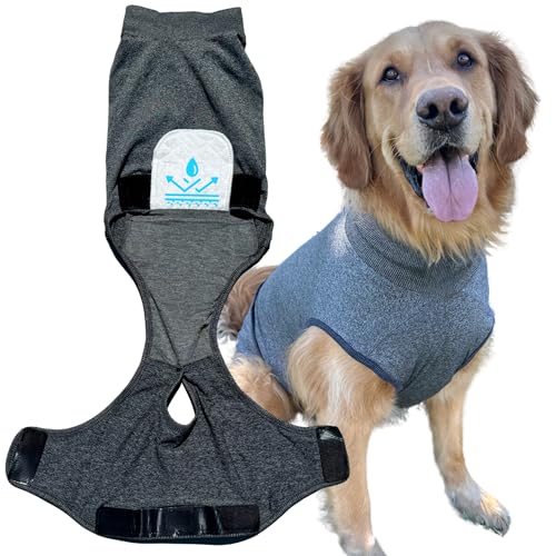 Hunde-Genesungsanzug nach Operationen – für Spay-Neuter – mit waschbaren Pads – Hunde-Einteiler (grau, klein) von iLVYA