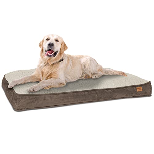 ib style Dreams Hundematte, Hundekissen waschbar, Hundematratze, Schlafplatz mittelgroße Hunde, Hundebett, Abnehmbarer Bezug, L Braun von ib style