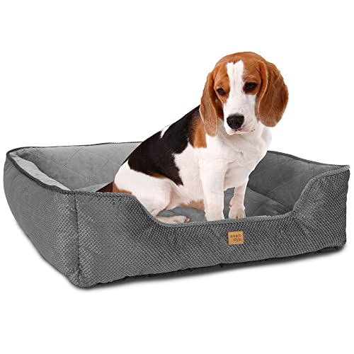 ib style Milo Hundebett, Hundekorb waschbar, Hundecouch, Schlafplatz mittelgroße Hunde, Katzenbett, Hundesofa, Anti-Rutsch, M Grau von ib style