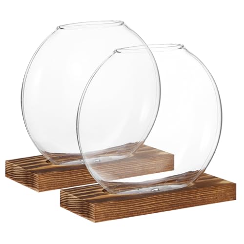 ibasenice 2 Sets Holzvase Kleine Glasvase Glaspflanzgefäß Vase Glasanzucht Terrarien Glasvasen Für Dekoration Schreibtisch Anzuchtstation Glaspflanzenhalter Pflanzenvase Aus ibasenice 2 Sets Holzvase Kleine Glasvase Glaspflanzgefäß Vase Glasanzucht Terrarien Glasvasen Für Dekoration Schreibtisch Anzuchtstation Glaspflanzenhalter Pflanzenvase Aus von ibasenice