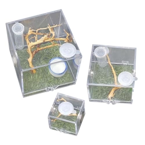 ibasenice 3Stücke Transparente Springspinnenkäfige mit Futteröffnung und Belüftung für Zucht und Haltung von Insekten und Reptilien Hygrometer für Optimale Feuchtigkeit ibasenice 3Stücke Transparente Springspinnenkäfige mit Futteröffnung und Belüftung für Zucht und Haltung von Insekten und Reptilien Hygrometer für Optimale Feuchtigkeit von ibasenice