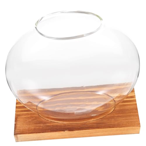 ibasenice Hydroponische Dill Ornamente Schreibtisch Dekoration Künstliche Pflanzen Zur Dekoration Innenvase Dekorative Ornamente Für Geformte Dekoration Terrarium Wasserpflanzer Holz ibasenice Hydroponische Dill Ornamente Schreibtisch Dekoration Künstliche Pflanzen Zur Dekoration Innenvase Dekorative Ornamente Für Geformte Dekoration Terrarium Wasserpflanzer Holz von ibasenice