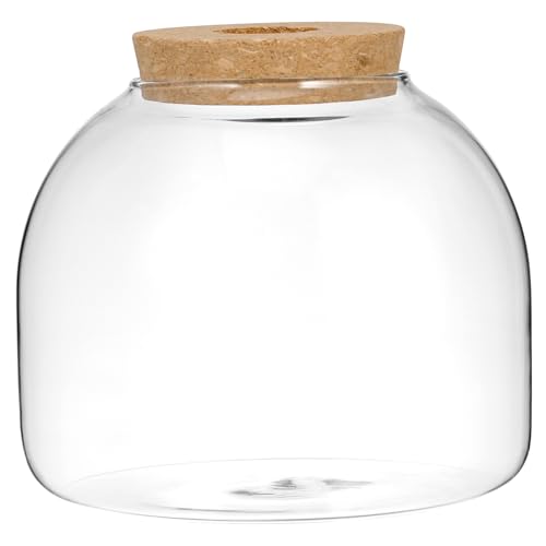 ibasenice Kleines Terrarium für Hydroponische Pflanzen Ökosystem Behälter für Moos und Fische Dekorative Vase für Indoor Gestaltung Korkdeckel und Lochstopfen ibasenice Kleines Terrarium für Hydroponische Pflanzen Ökosystem Behälter für Moos und Fische Dekorative Vase für Indoor Gestaltung Korkdeckel und Lochstopfen von ibasenice