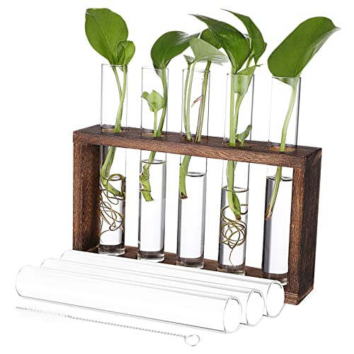 ibasenice Moderner Pflanzen Terrarium Holzgestell mit Testrohren für Pflanzenvermehrung für Wohnzimmer und Bürodekoration ibasenice Moderner Pflanzen Terrarium Holzgestell mit Testrohren für Pflanzenvermehrung für Wohnzimmer und Bürodekoration von ibasenice
