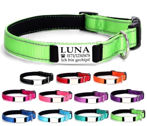 Ibera gifts - Hundehalsband Personalisiert, Hundehalsband Mit Namen Für Große Hunde, 40-60 cm, Reflektierend (Grün, L Groß) von ibera gifts