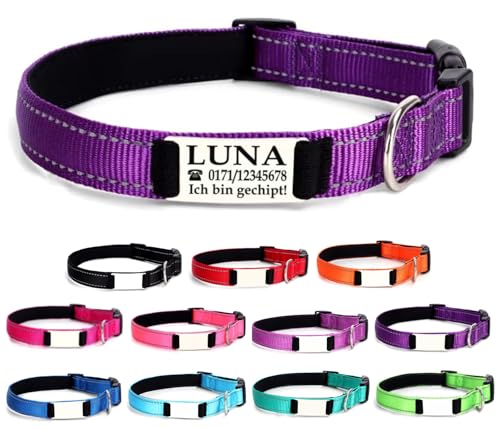 Ibera gifts - Hundehalsband Personalisiert, Hundehalsband Mit Namen, Reflektierend (Lila, L Groß) von ibera gifts