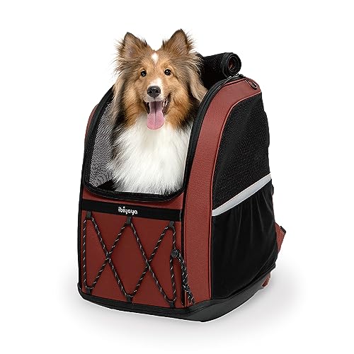 Champion 3-in-1 Großer Hundetragerucksack, geräumiger Reiserucksack mit Rollen und Autositzerhöhung – ideal für mittelgroße und große Rassen (Kastanienbraun) von ibiyaya