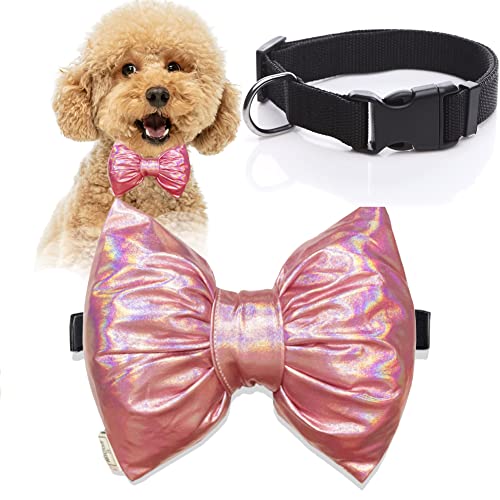 Nylon-Hundehalsband mit Fliege, Katzenfliege, verstellbares, weiches, klassisches Hundehalsband mit Schnellverschluss-Schnalle für kleine, mittelgroße und große Hunde, bequem (M, 03-Brilliant Pink) von icicecream