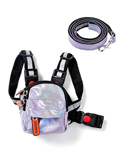 icicecream Niedlicher Hunde-Rucksack mit Leine, Set, verstellbare Satteltasche mit Reflektorstreifen, Outdoor, Reisen, Wandern, Camping, mittelgroße und große Hunde (Violett, L) von icicecream