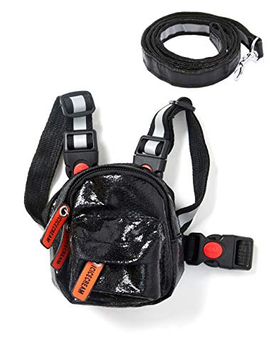 icicecream Niedlicher Hunde-Rucksack mit Leine, Set, verstellbare Satteltasche mit Reflektorstreifen, Outdoor, Reisen, Wandern, Camping, mittelgroße und große Hunde (schwarz, M) von icicecream