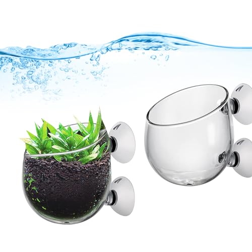 ieron 2 x Wasserpflanzenbecher mit 2 Saugnäpfen, Kristallglas-Blumentopf, Aquarium-Pflanzentopfhalter von Ieron