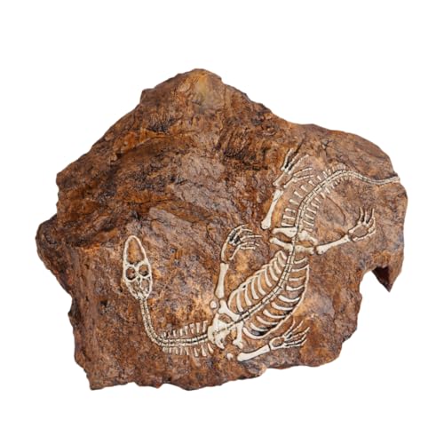 ifundom 1 Stück Künstliche Schädel Dekoration für Aquarien Steinoptik für Fischbehälter Leicht und Kompakt aus Sicherem Harz für Terrarien und Aquarienzubehör ifundom 1 Stück Künstliche Schädel Dekoration für Aquarien Steinoptik für Fischbehälter Leicht und Kompakt aus Sicherem Harz für Terrarien und Aquarienzubehör von ifundom