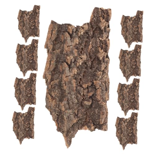 ifundom 20 Stück Teiliges Korkrinde für Reptilien Terrarium Dekoration und Futterbox S Zufällige Form für Lebensechte und Einfache Handhabung ifundom 20 Stück Teiliges Korkrinde für Reptilien Terrarium Dekoration und Futterbox S Zufällige Form für Lebensechte und Einfache Handhabung von ifundom