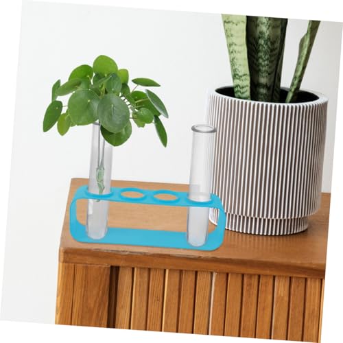 ifundom 4 Stück Teiliges Transparente Kunststoff Blumenwasser Röhrchen für Hydroponik Pflanzenvermehrung DIY Blumenarrangements Einfache Reinigung und Stilvolles Design ifundom 4 Stück Teiliges Transparente Kunststoff Blumenwasser Röhrchen für Hydroponik Pflanzenvermehrung DIY Blumenarrangements Einfache Reinigung und Stilvolles Design von ifundom