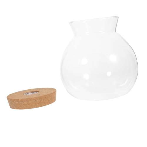 ifundom LED Fischflasche mit Holzabdeckung und LED Licht Kreative Glasflasche für DIY Mikroszenarien und Terrarien zur Verschönerung von Wohnräumen ifundom LED Fischflasche mit Holzabdeckung und LED Licht Kreative Glasflasche für DIY Mikroszenarien und Terrarien zur Verschönerung von Wohnräumen von ifundom