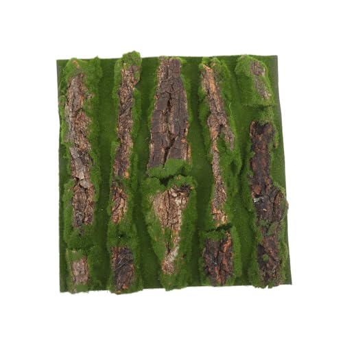 ifundom Lifelike Bark Board für Terrarien und Aquarien Künstliche Hintergrunddekoration für Reptilien und Fischbehälter Wasserfreundlich und Langlebig ifundom Lifelike Bark Board für Terrarien und Aquarien Künstliche Hintergrunddekoration für Reptilien und Fischbehälter Wasserfreundlich und Langlebig von ifundom