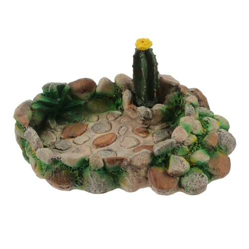 ifundom Reptilien Futter und Wasserschale im Kaktusdesign Stabile Fütterungsschüssel für Eidechsen und Schildkröten Langlebig Sicher und Pflegeleicht für Terrarien ifundom Reptilien Futter und Wasserschale im Kaktusdesign Stabile Fütterungsschüssel für Eidechsen und Schildkröten Langlebig Sicher und Pflegeleicht für Terrarien von ifundom