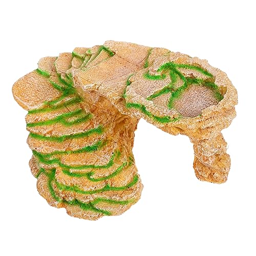 ifundom Reptilien Versteck aus Kunstharz Schildkröten Basking Plattform mit Kletterleiter für Aquarien und Terrarien für Eidechsen und Frösche ifundom Reptilien Versteck aus Kunstharz Schildkröten Basking Plattform mit Kletterleiter für Aquarien und Terrarien für Eidechsen und Frösche von ifundom
