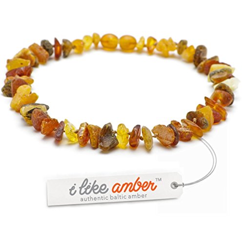 ilikeamber.com Bernsteinkette Hund, Zeckenschutz Katze & Hund, Bernsteinkette für Hunde & Katzen, 100% Baltischer Bernstein, Dog Collar von ilikeamber.com