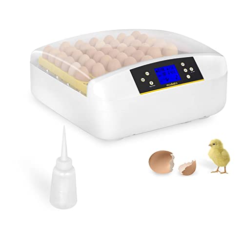 incubato Brutapparat Inkubator Brutmaschine IN-56DDI (für 56 Eier, integrierte Schierlampe, 20-50 °C, intelligente Temperaturregelung, 80 W Motor) von incubato