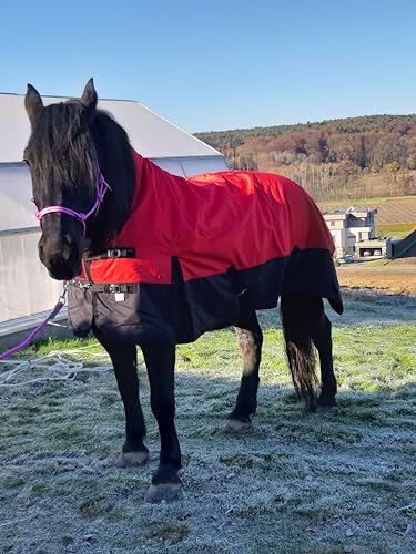 Winterdecke 200g 1200Denir Reißfest Weidendecke Wasserdicht Atmungsaktiv Highneck Gehfalte Bauchgurt Vorne Karabinerhacken Glattes Innenfutter (Rot-Schwarz, 145 cm) von indira