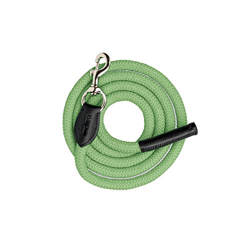 indira Führ-Strick pro PP-Strick-Leder Karabiner (2 m, Grün 01) von indira