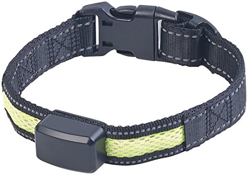 infactory Halsband: LED-Leuchtband, kinetische Leucht-Funktion, für kleine Hunde & Katzen (Katzenhalsband, LED Hundehalsband, Lichtschlauch) von infactory