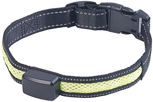 infactory Hundehalsband: LED-Leuchtband mit kinetischer Leucht-Funktion, für mittelgroße Hunde (Hundelicht, LED Halsband, Lichtschlauch) von infactory