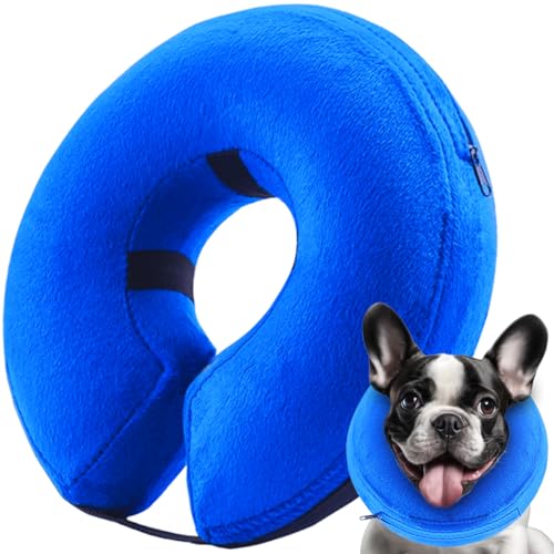 Aufblasbares Hundehalsband (L Größe), Weiches Blow-Up Schützendes Hundehalsband, Haustier Donut Kegelhalsband, um Beißen und Kratzern zu verhindern, Blau von infisu