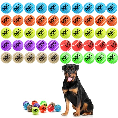 insum Tennisbälle für Hunde, bunt, leicht zu fangen, 6,3 cm, 4 Farben, 50 Stück von insum