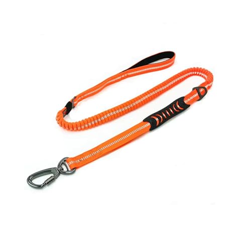 ioutrssli Hundeleine Mittelgroße Hunde(1.7m Länge), Hundeleine Verstellbar Reflektierend mit Auto Sicherheitsgurt Schnalle Metallhaken und Komfortabler Gepolsterter Griff (Orange) von ioutrssli